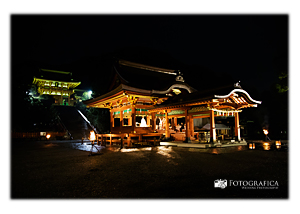 鶴岡八幡宮幸あかり挙式撮影